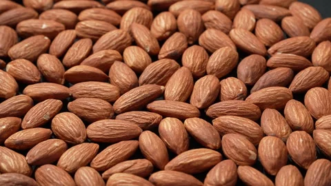 Backlit Tilted Raw Almonds Macro 4K Video stock 332841761