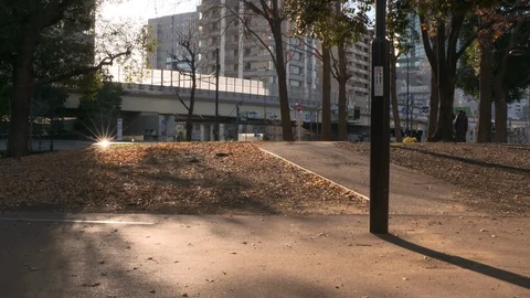 Backlit tower apartment at sunset Stock Footage 128469756
