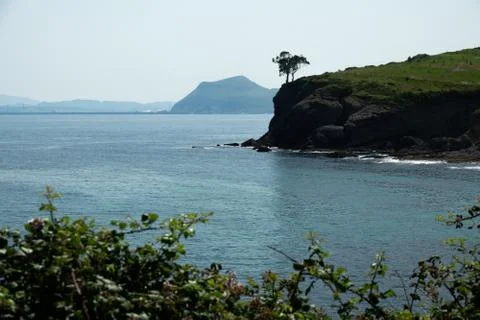 Backlit of tree on top of the cliff Foto stock