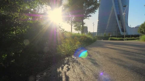 Backlit trees in a urban park Stock Footage 133672969