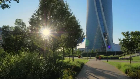 Backlit trees in a urban park Stock Footage 133673059
