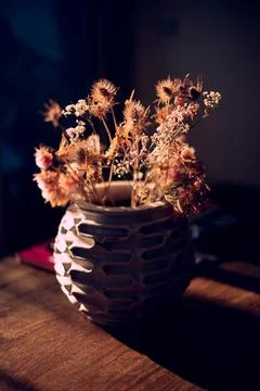 Backlited flowers in vase on the table in sunset time Stock Photos