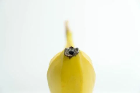 BACKNANA Stock Photos