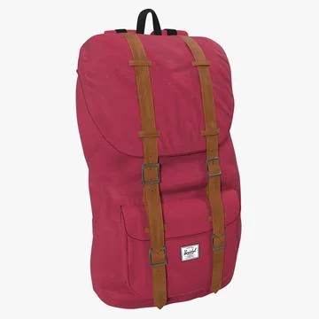 3D Model: Backpack 8 Vinous ~ Buy Now #90656993 | Pond5