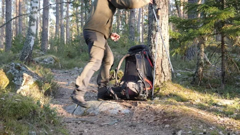 Backpack and trekking poles resting by tree on forest hiking trail Stock Footage 333690824