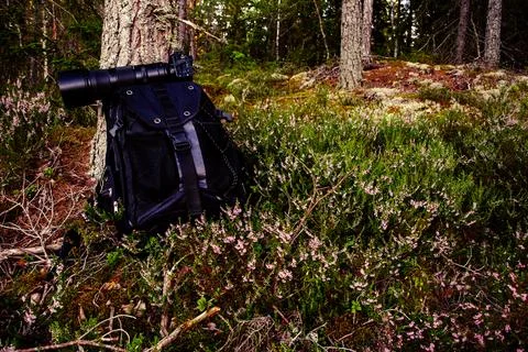 Backpack with Camera and Lens in Forest Stock Photos