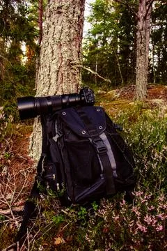 Backpack with Camera and Lens in Forest Stock Photos