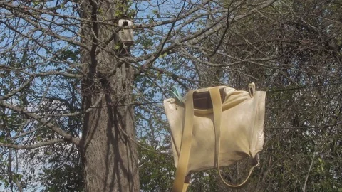 Backpack Stock Footage 108137576