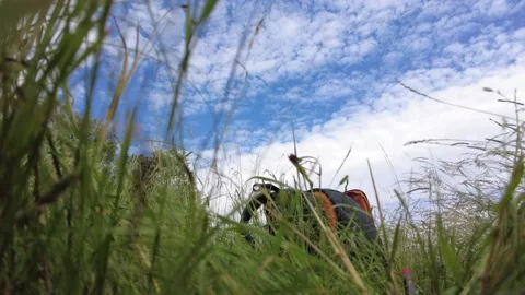 Backpack on the grass. Blue sky with white clouds time lapse. Stock Footage 197609938