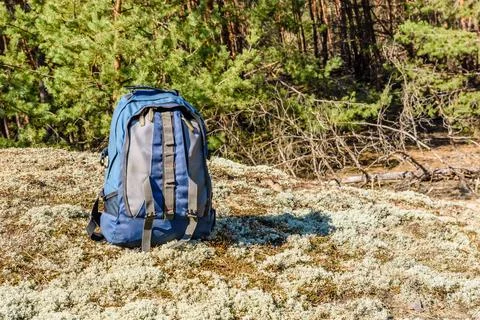 Backpack on a ground in a coniferous forest Stock Photos