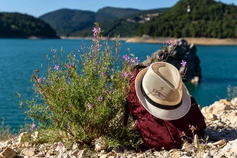 Backpack leaning on flowers 스톡 사진