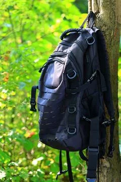 A backpack is perched on a tree branch, ideal for outdoor enthusiasts, hikers Stock Photos