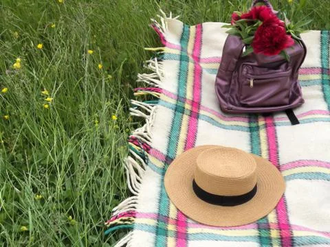 A backpack with red peonies inside and a straw hat on the checkered blanket. Stock Photos
