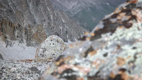 A backpack rests among the rocks Stock Footage 103968222