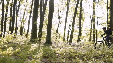 Backpacked Man Rides Bicycle in the Forest Stock Footage 75565526