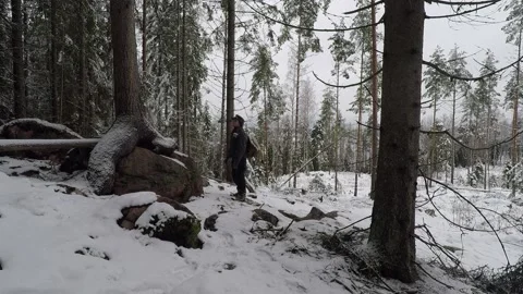 Backpacker admiring a tree that's grown on a rock, and then walks towards camera Stock Footage 145946580