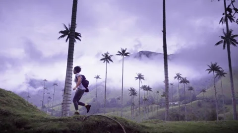 Backpacker on beautiful valley Stock Footage 64911327