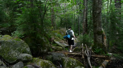Backpacker Dense Forest Video stock 29657903
