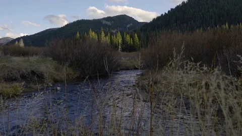 Backpacker Explores Utah Wilderness, Tracking Shot Of Him Walking Along Creek Stock Footage 70042221