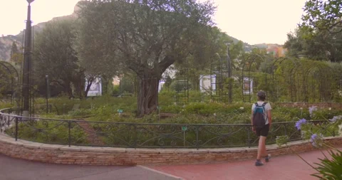 Backpacker exploring a beautiful exotic garden at Roseraie Princesse Grace in Stock Footage 346163560