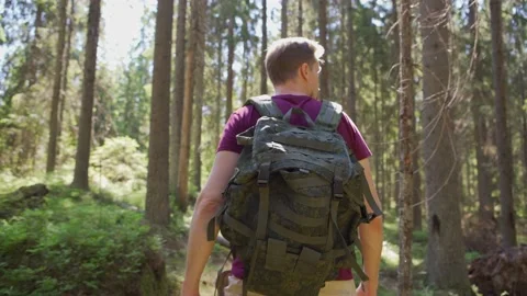 Backpacker exploring nature in forest Stock Footage 134293245