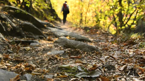 Backpacker Stock Footage 22918051