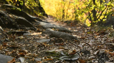 Backpacker Stock Footage 22918108