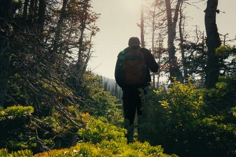 Backpacker in a forest adventure Stock Photos