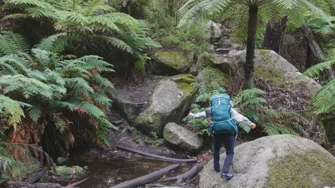 Backpacker in forest Stock Footage 96517519