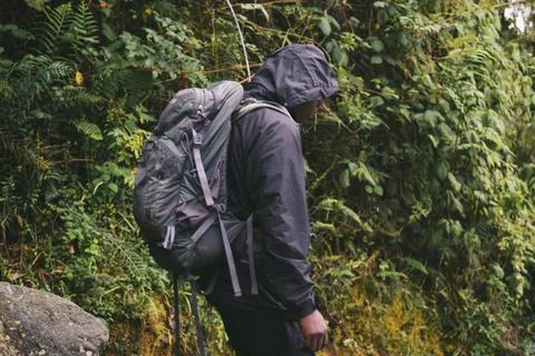 A backpacker in the forest Stock Photos