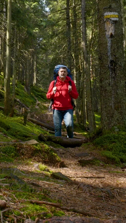 Backpacker Hiking Along Mountain Forest Trail Carrying Large Rucksack Video stock 337162285