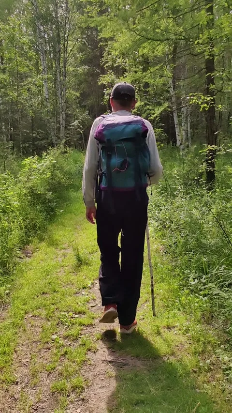 Backpacker hiking on forest trail. vertical. Video stock 332402769