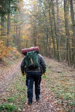 Backpacker Hiking a Leafy Path in an Autumn Forest Stock Photos