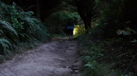 Backpacker Hiking on Path Video stock 41592137