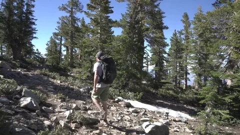 Backpacker hiking through trees and ending on a log with a view Stock Footage 76010627
