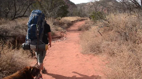 Backpacker Hiking on trail Stock Footage 36783587