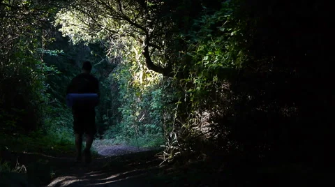Backpacker Hiking on Tunnel Trail Video stock 41592571