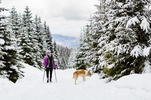Backpacker hiking walking in winter forest with dog Stock Photos