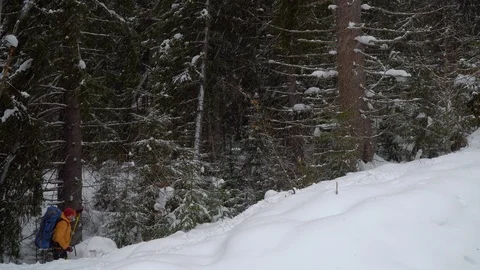 Backpacker hiking in winter forest Stock Footage 101867285