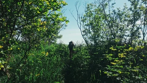 Backpacker on Isle Royale Stock Footage 346264787