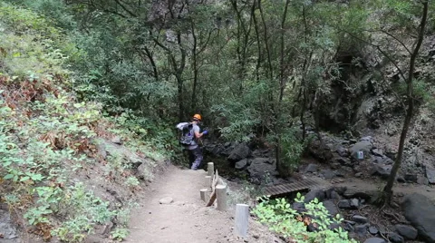Backpacker man hiking in beautiful landscapes of Barranco del Infierno in Ten 스톡 동영상 68856466