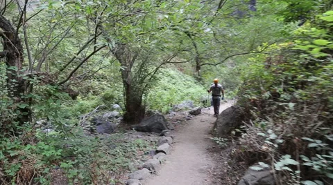 Backpacker man hiking in beautiful landscapes of Barranco del Infierno in Ten Stock Footage 68856480