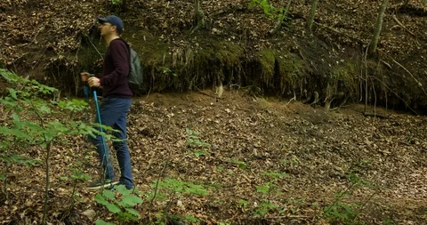 Backpacker Man Walk on Touristic Path Explore the Wild Forest Adventure Activity Stock Footage 88043490