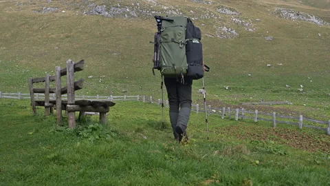 Backpacker on a meadow in the mountains walking away from the viewer Stock Footage 252644009