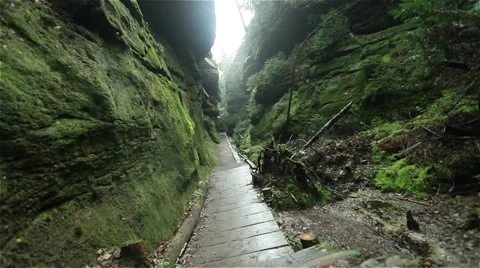 Backpacker passing a green canyon Stock Footage 45287424