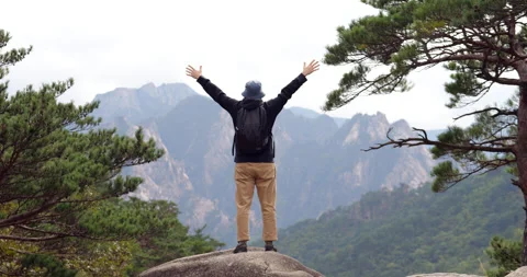 Backpacker reaching scenic lookout point and raising arms in success Stock Footage 304074095