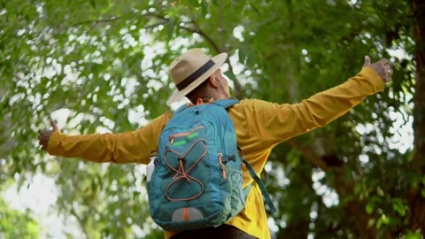 Backpacker spreading arms wide, embracing verdant wilderness, feeling profound Video stock 314295528