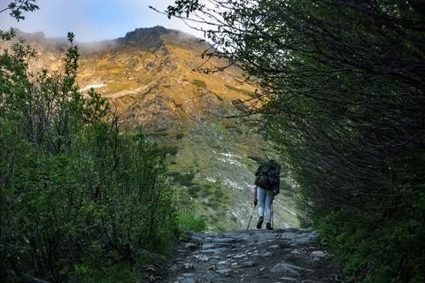 Backpacker on stone path surrounded by vegetation during sunset. Solo adven.. Stock Photos
