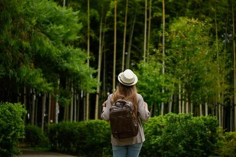 Backpacker strolls through bamboo grove wearing straw hat. Woman admires Stock Photos