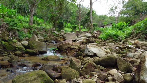 Backpacker traveling in forest wild.  Stock Footage 246832228